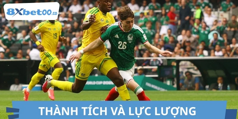 Thống kê phong độ và tình hình lực lượng CH Séc vs Nam Phi