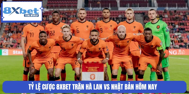 Tỷ lệ cược 8XBET trận Hà Lan vs Nhật Bản hôm nay